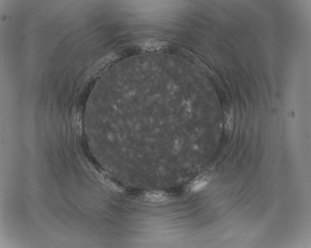 X0000076060666200610152204