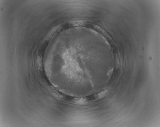 X0000076060667200610152204