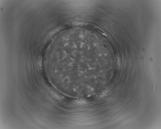 X0000076060668200610152204