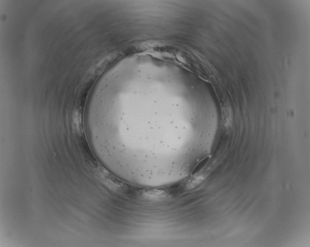 X0000076060669200610152204