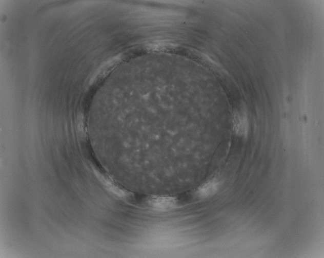 X0000076060670200610152204