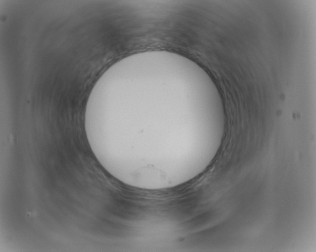 X0000076060672200610152204