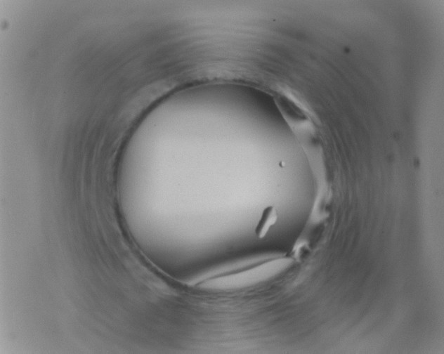 X0000076060673200610152203