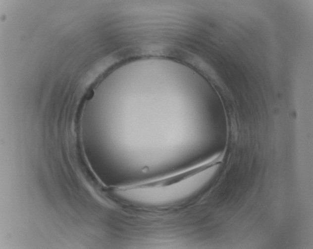 X0000076060674200610152203