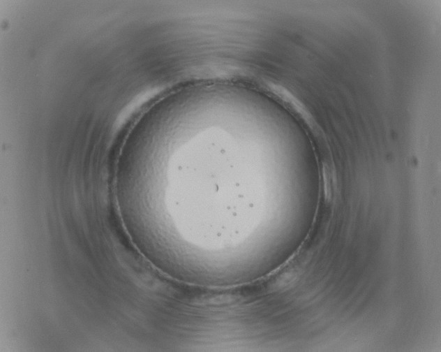 X0000076060675200610152203