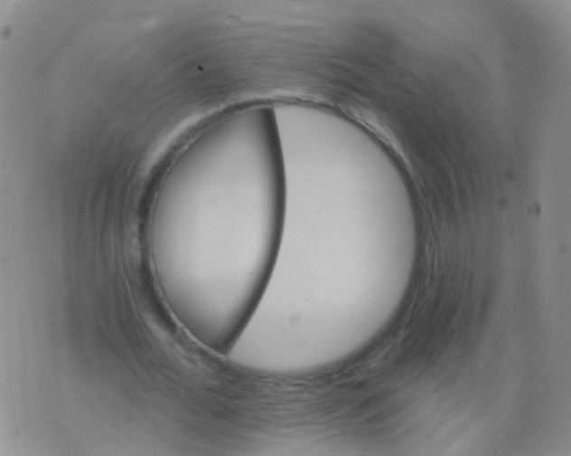 X0000076060676200610152203