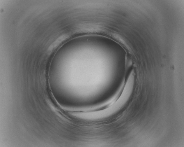 X0000076060677200610152203