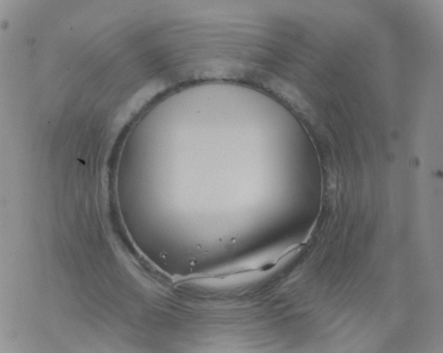 X0000076060678200610152203