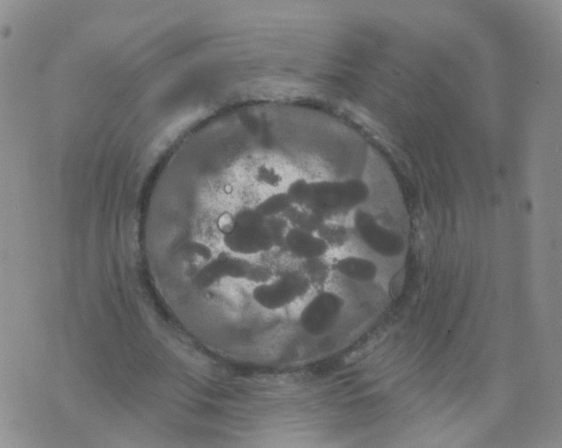 X0000076060679200610152203