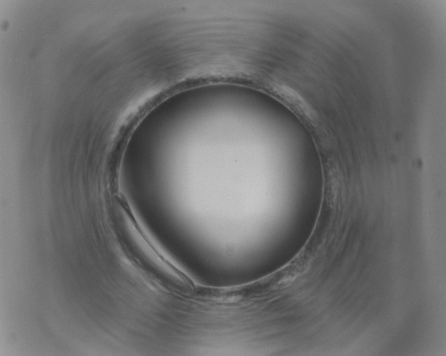 X0000076060680200610152203