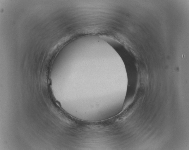 X0000076060681200610152203