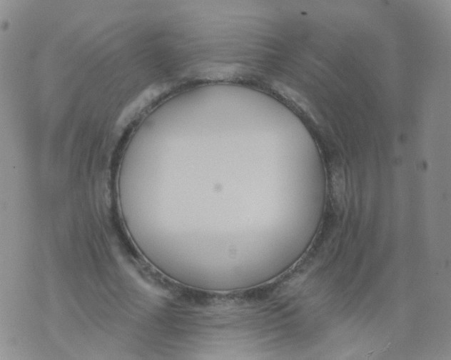 X0000076060682200610152203