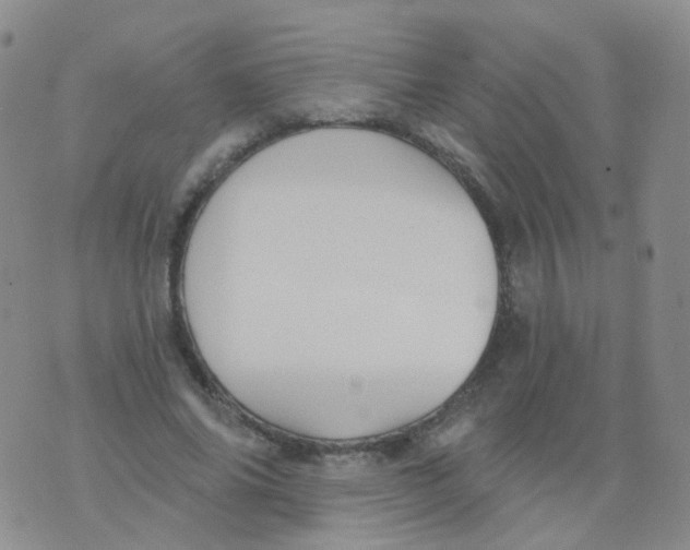 X0000076060686200610152203