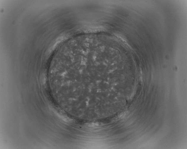 X0000076060687200610152203