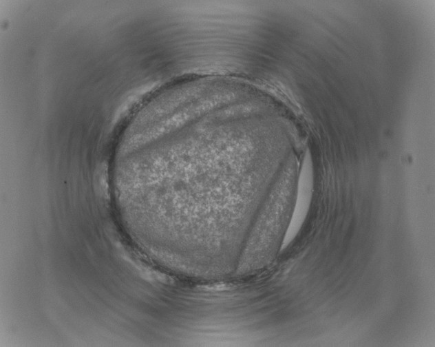 X0000076060688200610152203