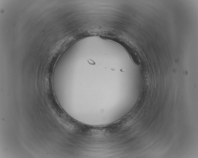 X0000076060690200610152203