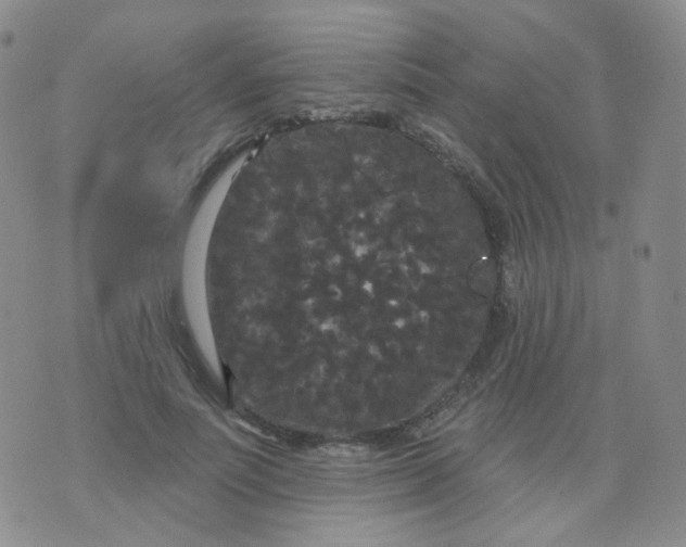 X0000076060691200610152203