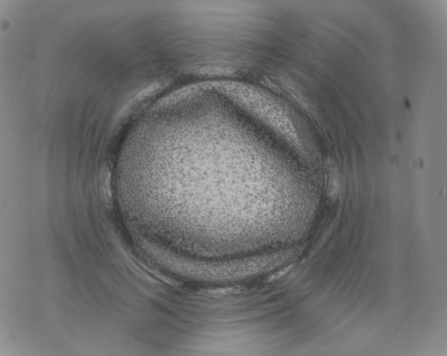 X0000076060692200610152203