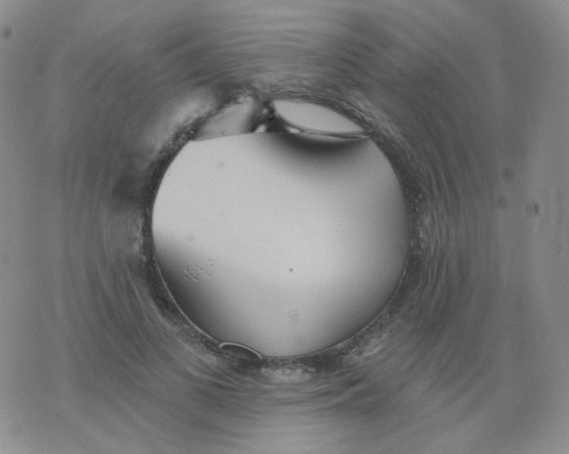 X0000076060693200610152203