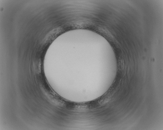 X0000076060694200610152203