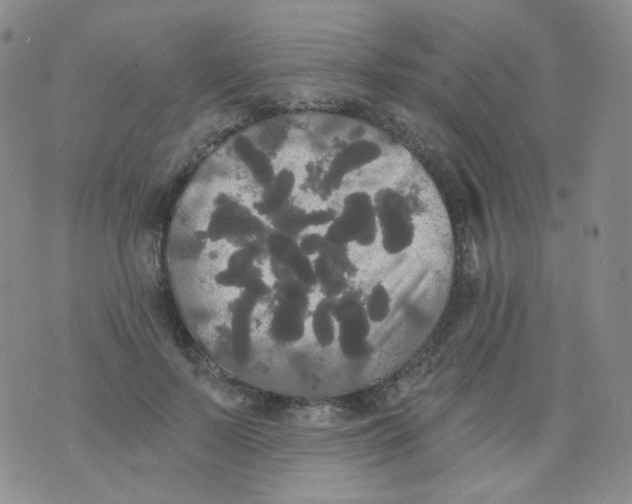 X0000076060695200610152203