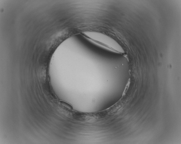 X0000076060697200610152203