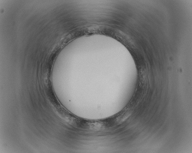 X0000076060698200610152203