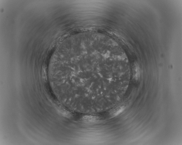 X0000076060699200610152203