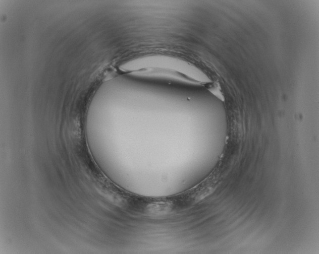 X0000076060700200610152203