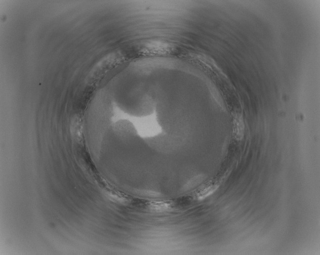 X0000076060701200610152203