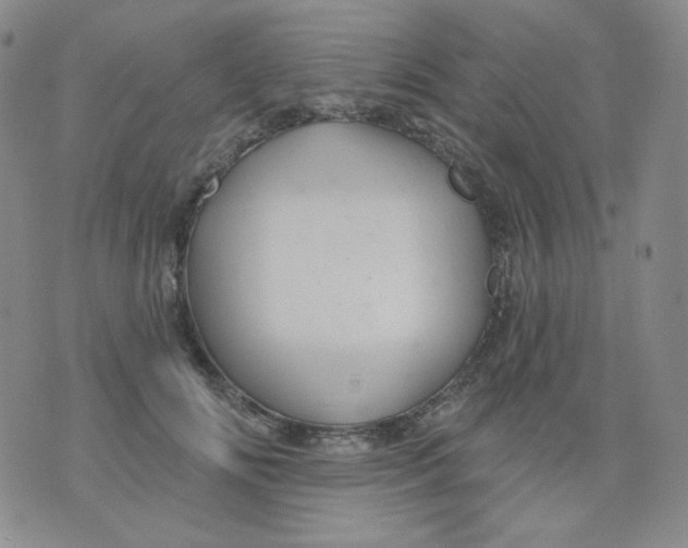 X0000076060702200610152203