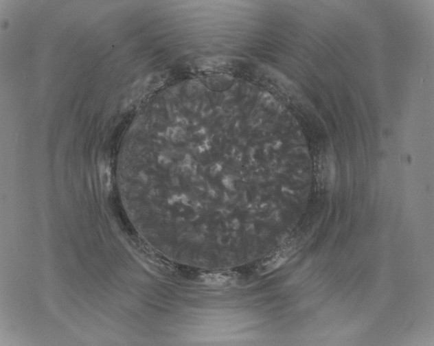 X0000076060703200610152203