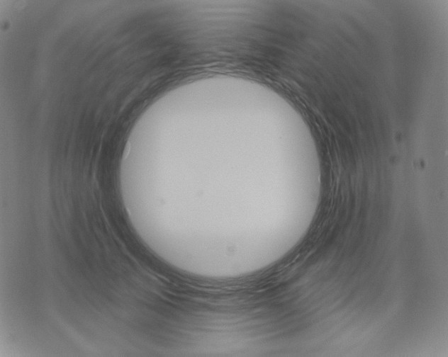 X0000076060705200610152202