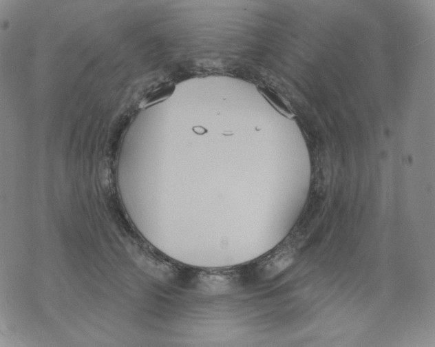 X0000076060706200610152202