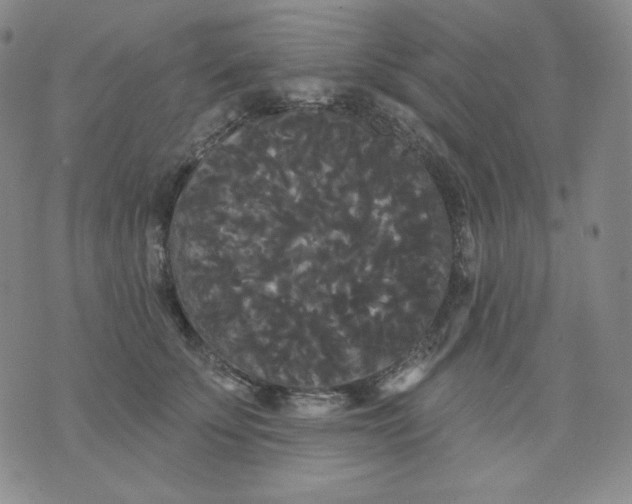 X0000076060707200610152202