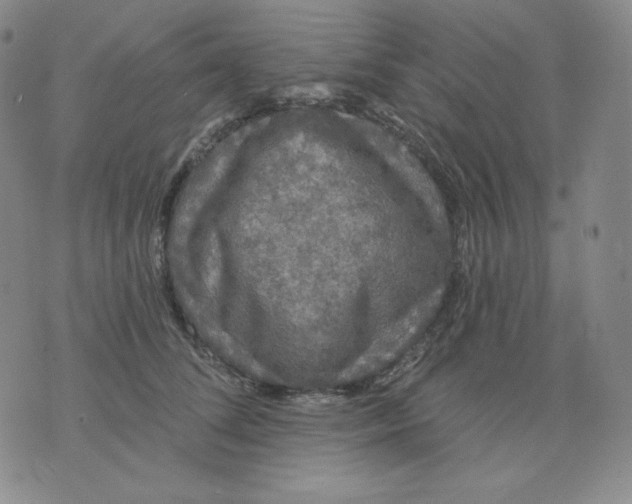 X0000076060708200610152202