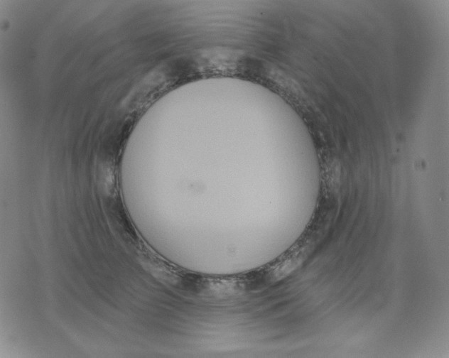 X0000076060709200610152202