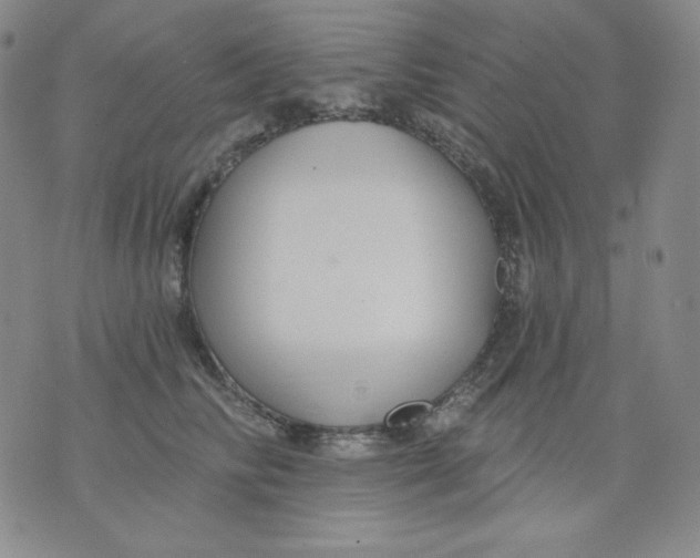 X0000076060710200610152202