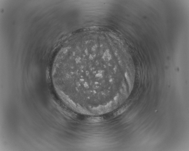 X0000076060711200610152202