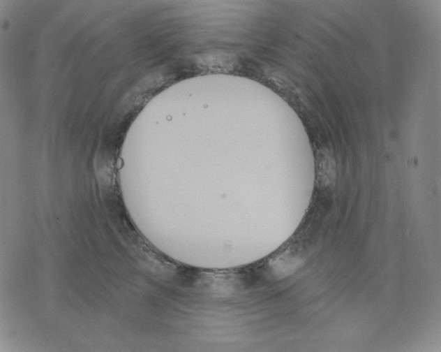 X0000076060713200610152202