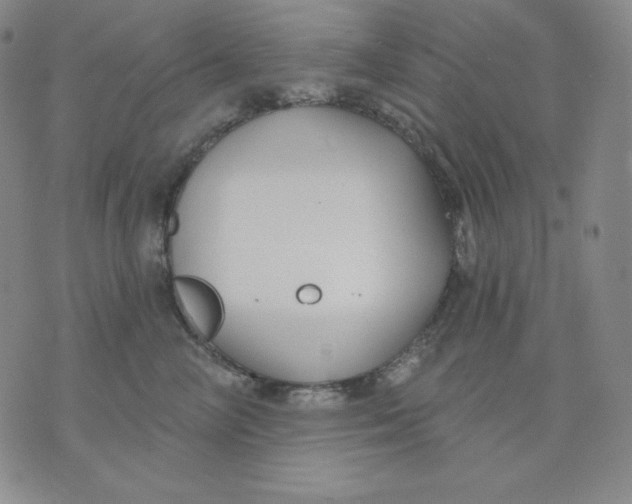 X0000076060714200610152202