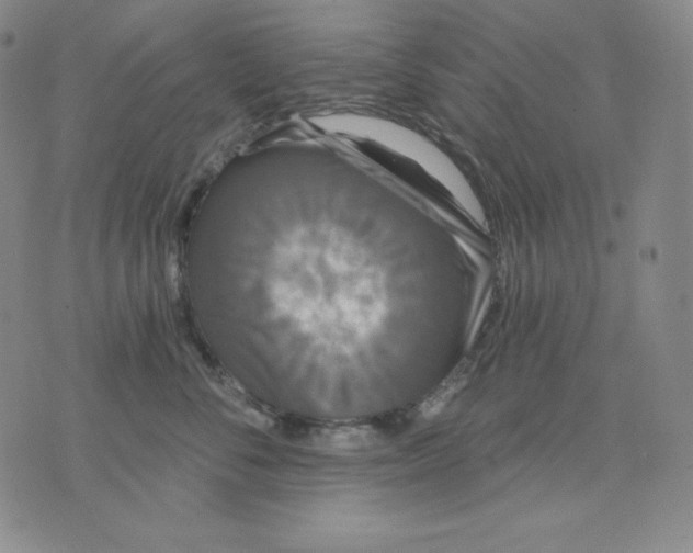 X0000076060716200610152202