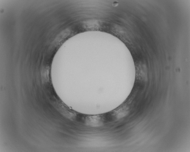 X0000076060717200610152202