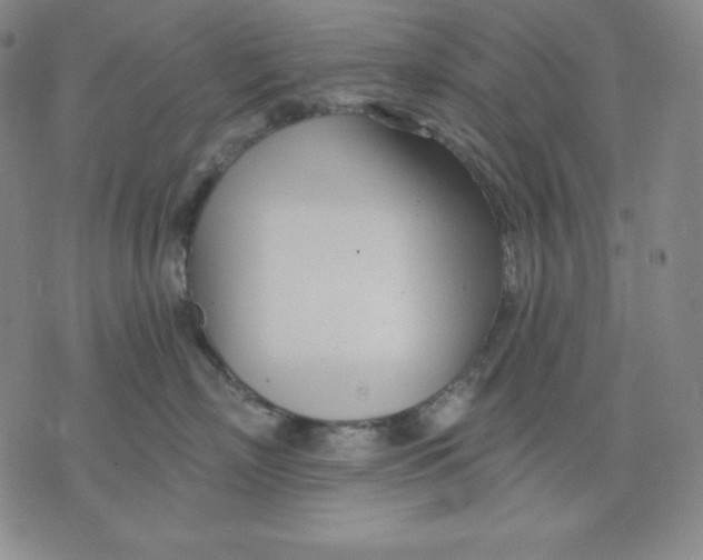 X0000076060718200610152202