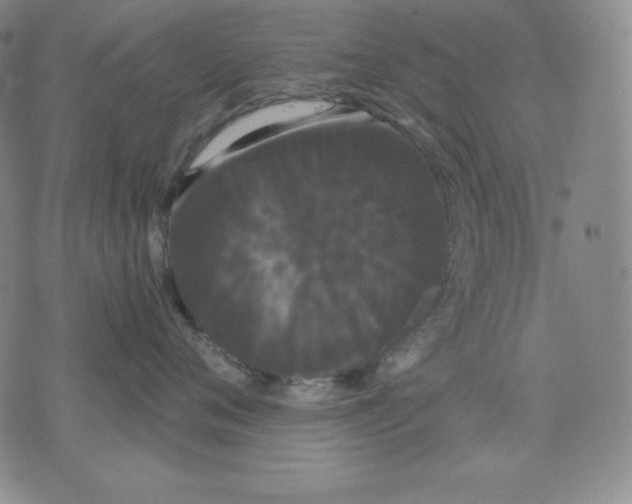 X0000076060720200610152202