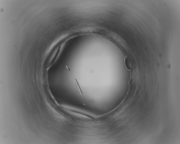 X0000076060722200610152201