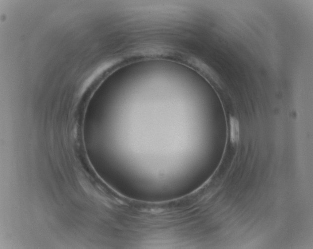 X0000076060723200610152201