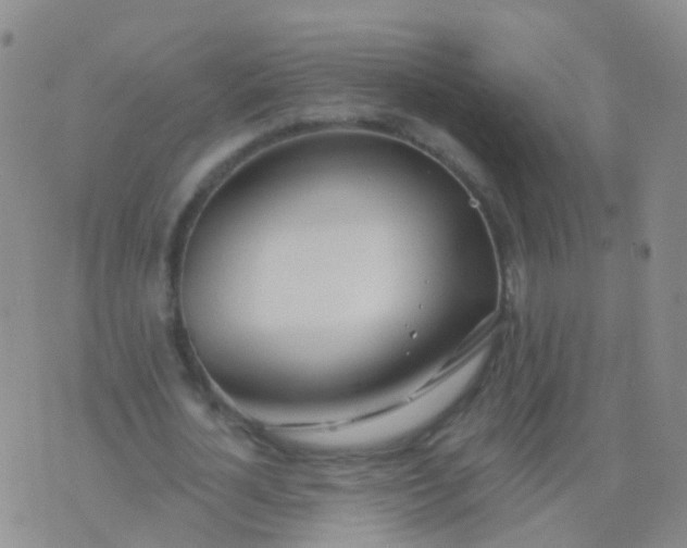 X0000076060724200610152202