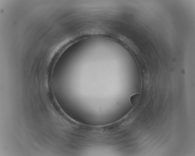 X0000076060727200610152202