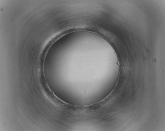 X0000076060728200610152202